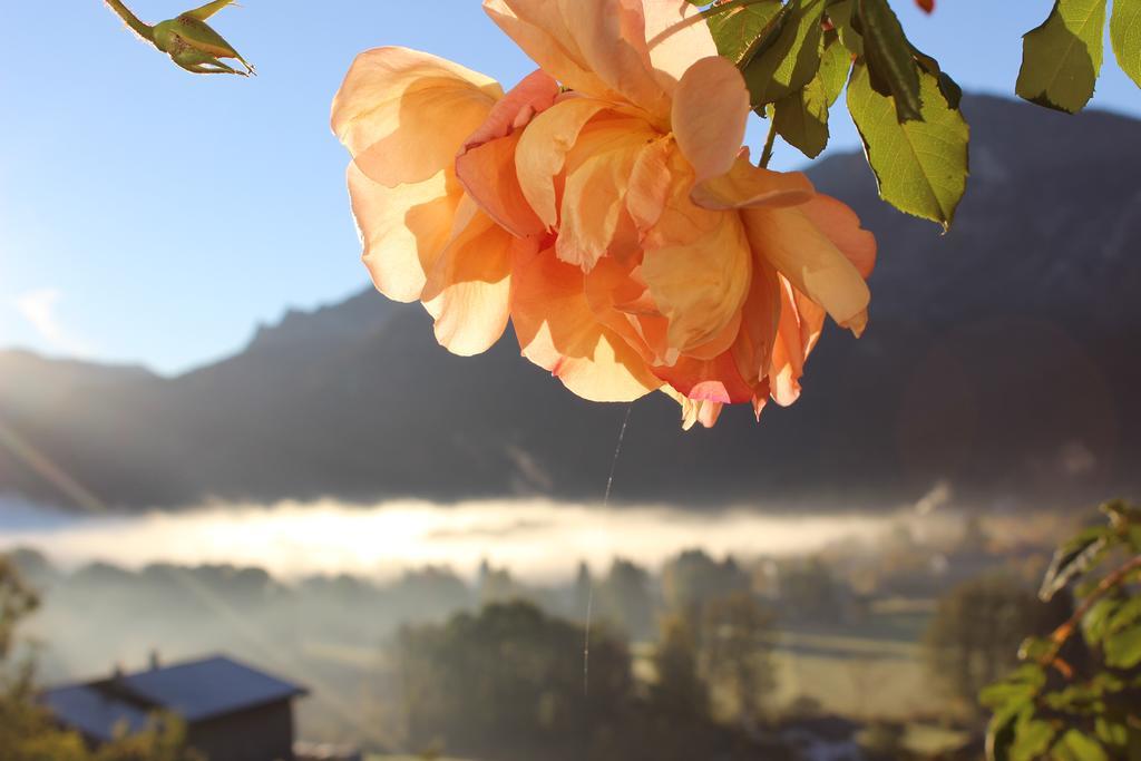 Leitnerhof Hotell Bad Reichenhall Eksteriør bilde